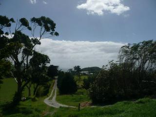 New Zealand Country Lane 2